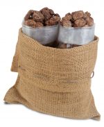 1.5lbs-nuts-cin-pecans-ss-praline-pecans